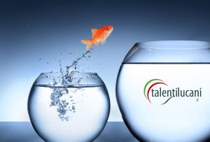 collabora talenti lucani