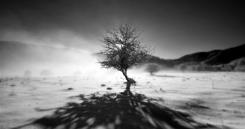 IL RITORNO
