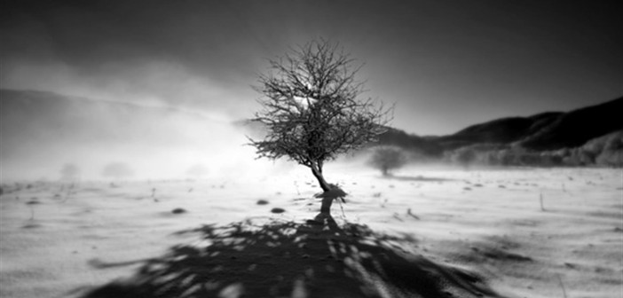 IL RITORNO