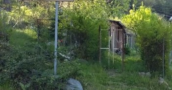 INCURIA E DEGRADO INTORNO AL PALAPERGOLA