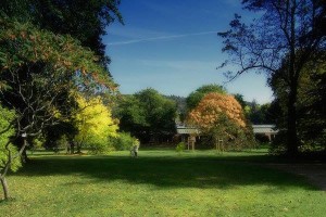 potentini un po meno cittadini