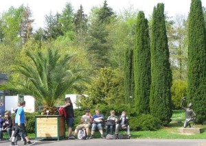 potentini un po meno cittadini