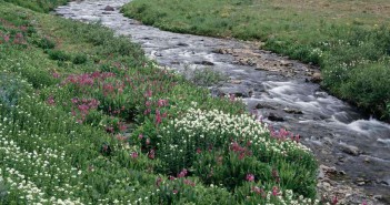 domenico friolo sere destate lucana