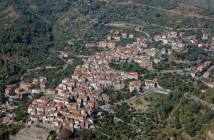 principe dei falchi