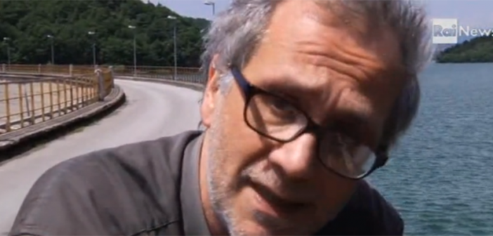 il pannella che è presente