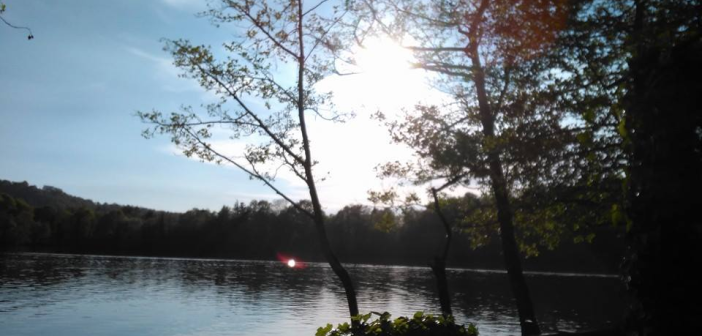 LUIGI GILIO. CEDEVOLI CAPRICCI