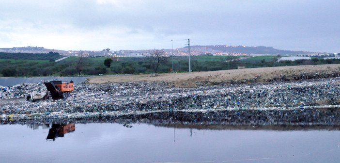 LA MARTELLA, CHI AGISCE E CHI PRENDE TEMPO