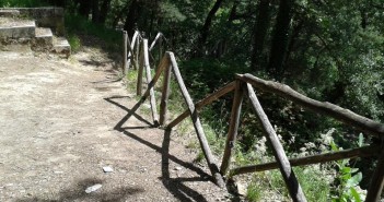una tenda nel bosco