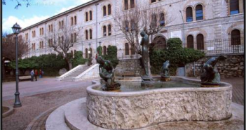 LA POTENZA DEL VERDE