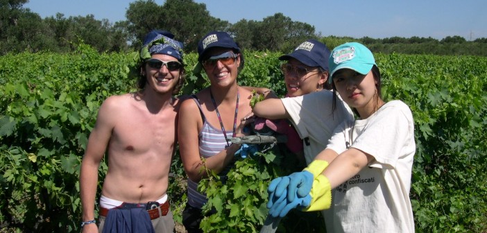 via la zappa i giovani tornano agricoltura