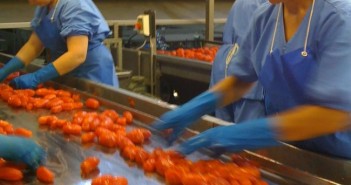 pomodori in faccia dalla ue