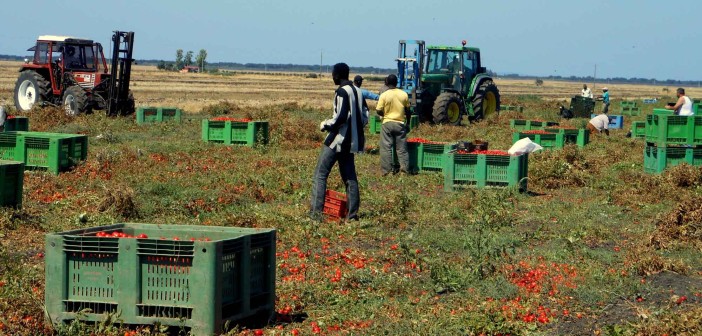 rifugiati basilicata politica