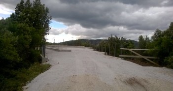 grifoni ruspa selvaggia