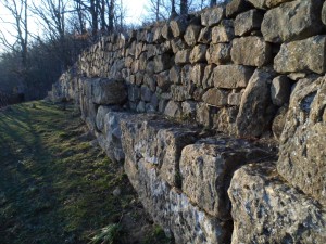 CINTA MURARIA INTERNA LATO OCCIDENTALE CROCCIA COGNATO