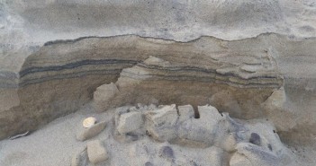 sedimenti arenile metaponto