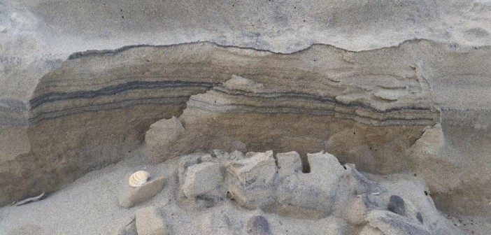 sedimenti arenile metaponto