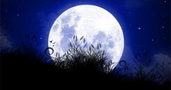 ASIMOV PREDISSE INTERNET