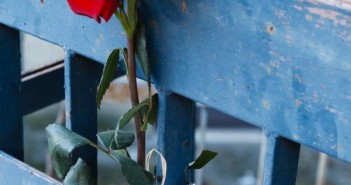 ANTONIO DELLA FRATERNITA