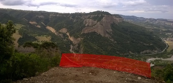 volano polemiche grifoni