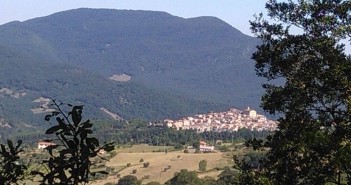 premio letterario albero di rose
