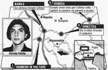Donato Cefola