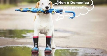 previsioni-del-tempo-06-07-agosto