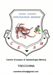 cesmstemma