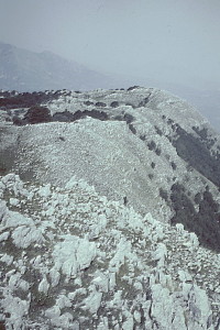 dolinesommitali