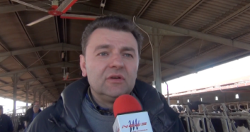 PIERO QUARTO QUARTA GAMMA