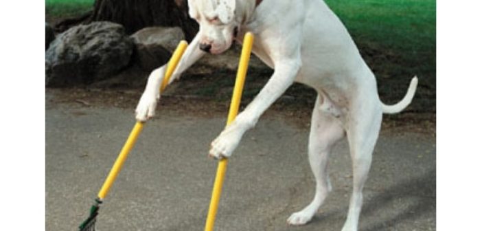 cattivi comportamenti