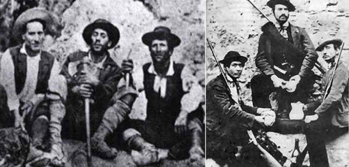 fisiologia del brigante