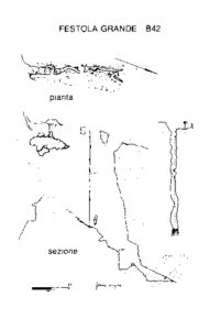 festolagranderilievo