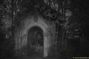 img_5392_600