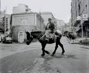 17796286_1492110950850199_515921780649287691_n