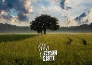 avarie-606327.610x431