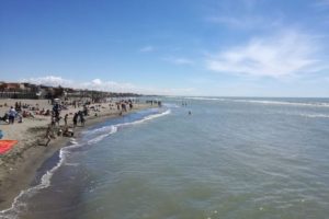 mare