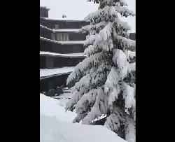 neve