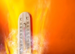caldo2