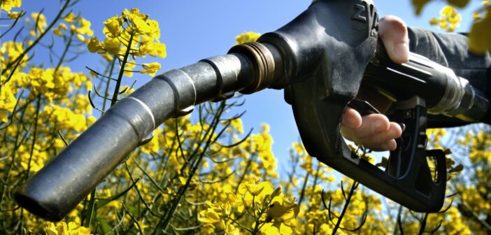 bio carburante