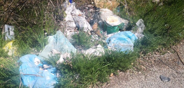 rifiuti quattro tornanti5