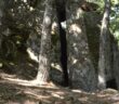 Particolare del complesso megalitico di Pietra della Mola a Oliveto Lucano (MT) 