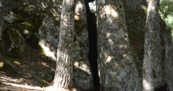 Particolare del complesso megalitico di Pietra della Mola a Oliveto Lucano (MT) 